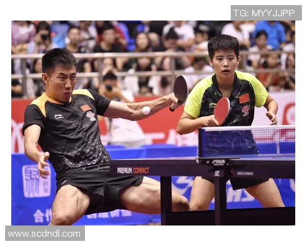 广州乒乓球队的训练与比赛状态全景揭秘，乒乓球爱好者不可错过的精彩瞬间