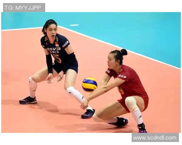 北京排球队技术实力强劲荣登排球技术排行榜第二名